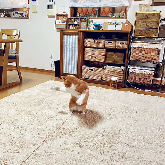 cocomaroさんの実例写真