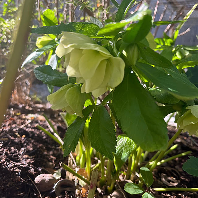 felicityさんの部屋