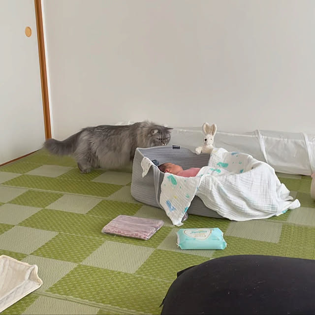 naoさんの実例写真