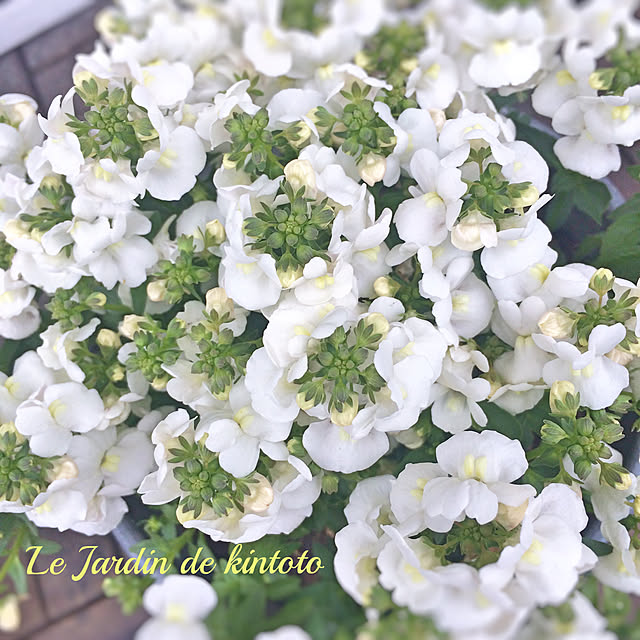 kintoto07さんの実例写真