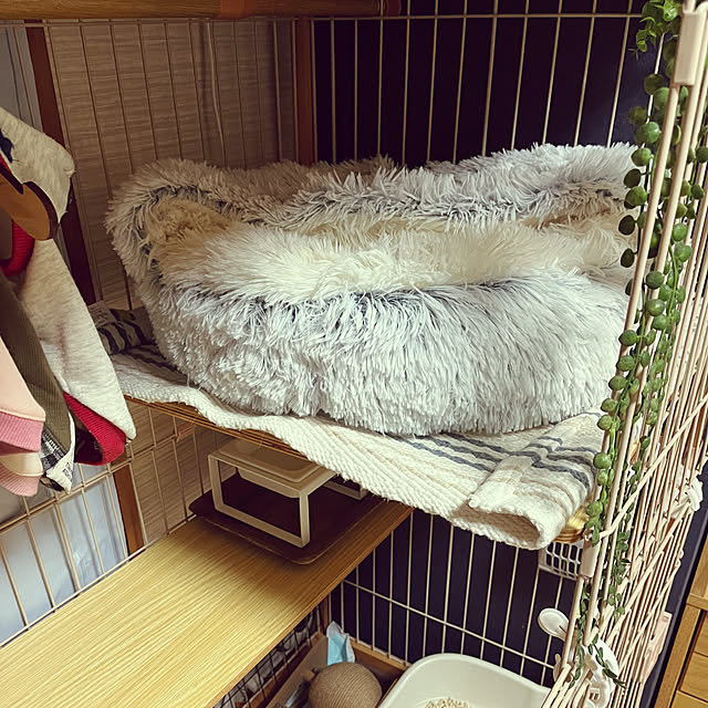 hanaさんの部屋