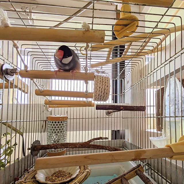 escargotさんの部屋