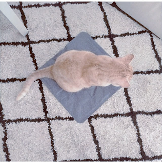 heart.emiemi57.whiteさんの実例写真