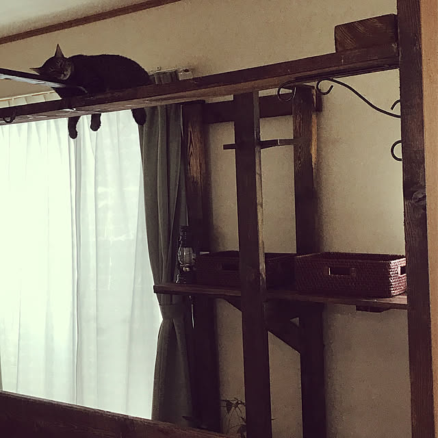 mikan161さんの実例写真