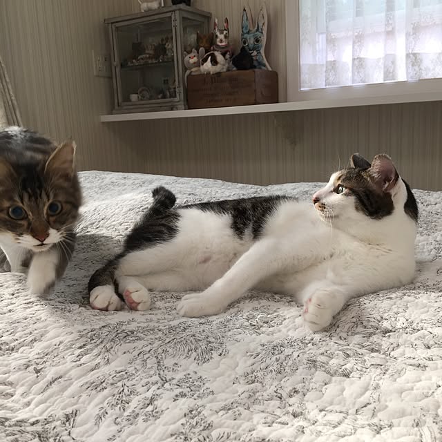 yuchiさんの実例写真