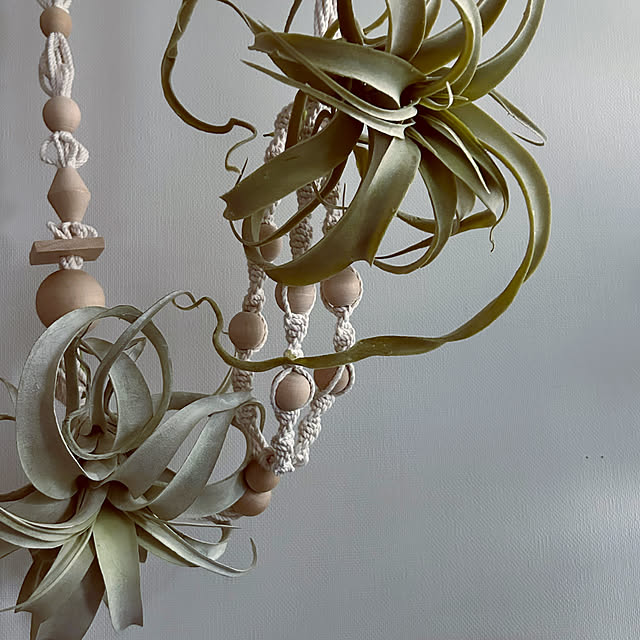 DAYONEさんの実例写真