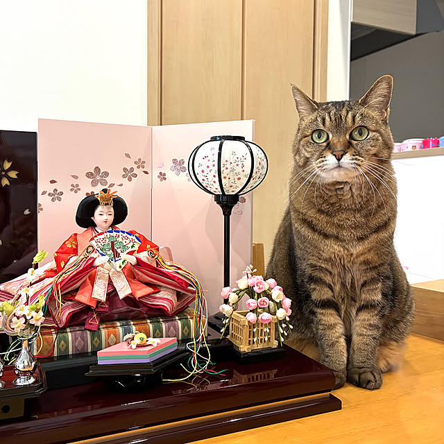 kirinsanさんの部屋