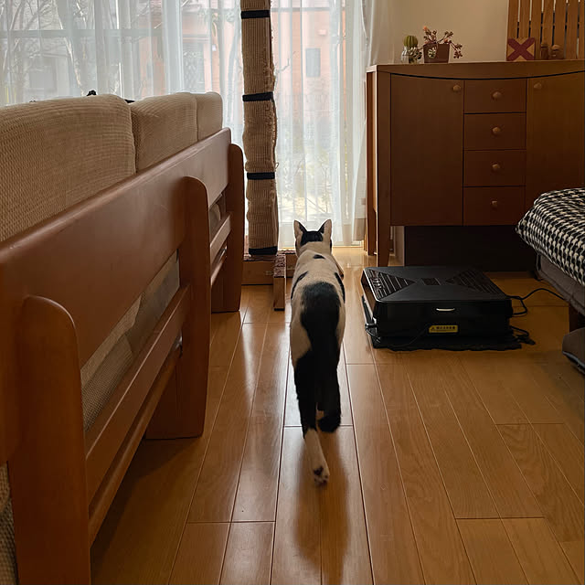 nobikoさんの実例写真