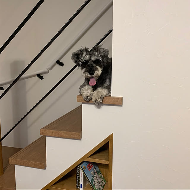 Mikaさんの実例写真