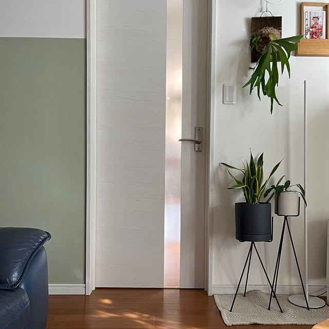 siosai10さんの実例写真