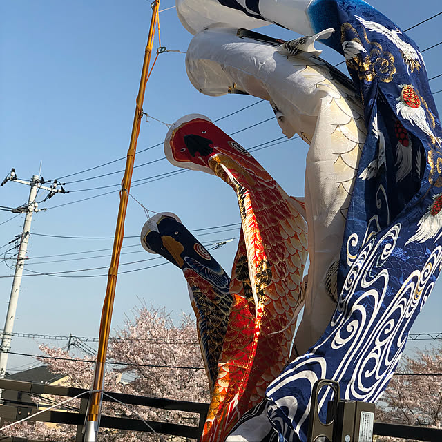 bafanaさんの実例写真
