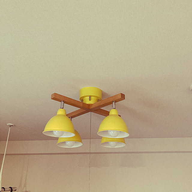 gakoさんの実例写真