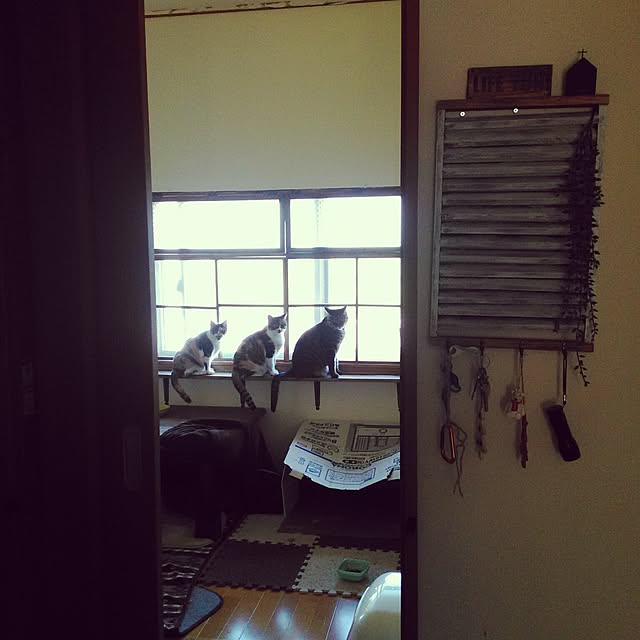 otubuさんの実例写真