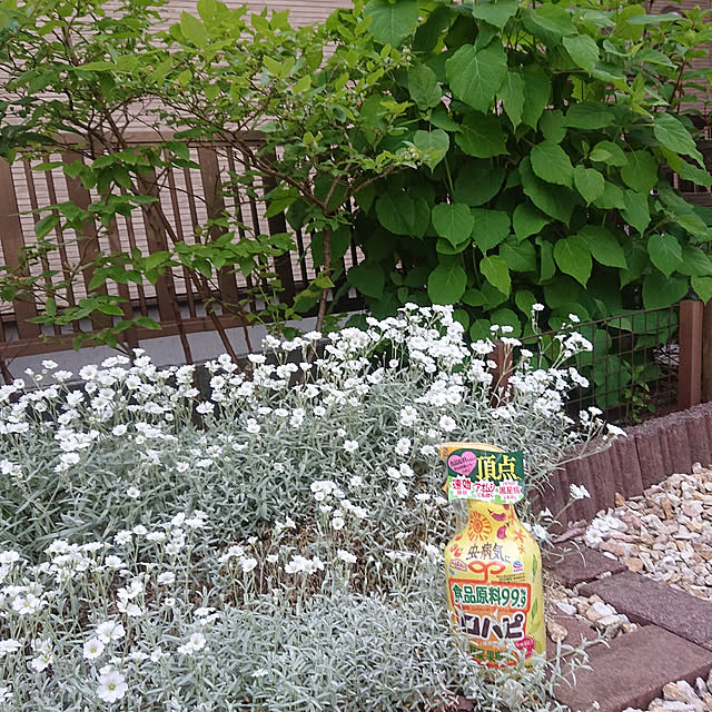 tikuwaさんの実例写真