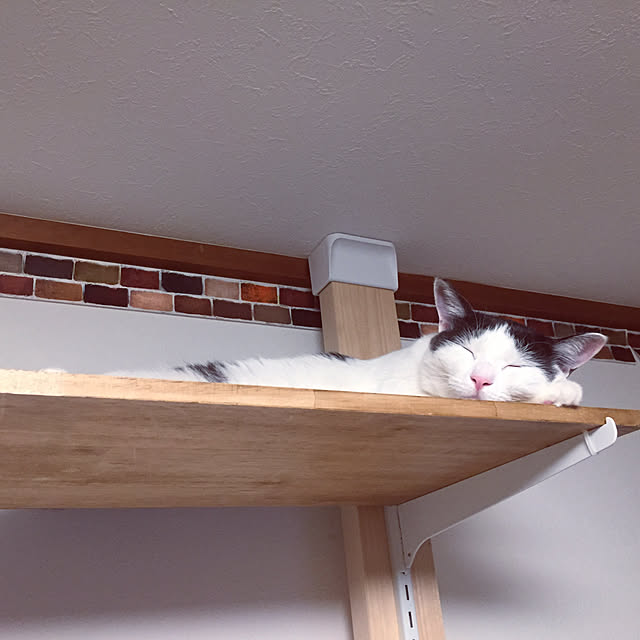miiko3さんの実例写真