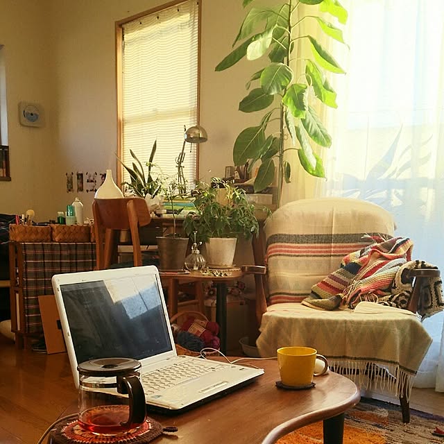 実例写真