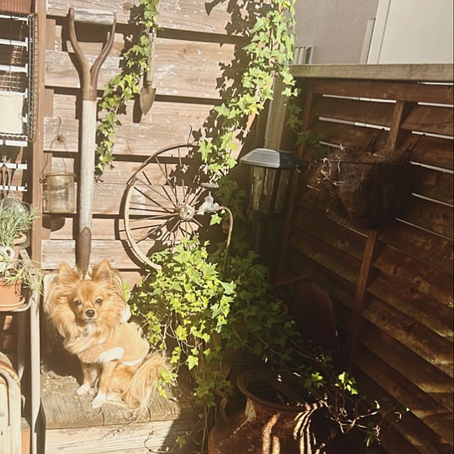 nnramさんの実例写真