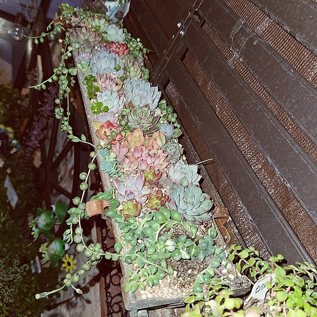 mocomocoさんの部屋