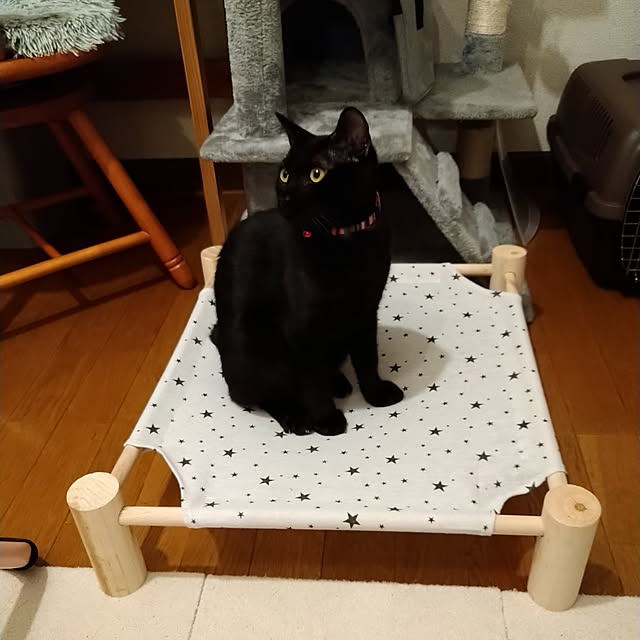 Tさんの実例写真