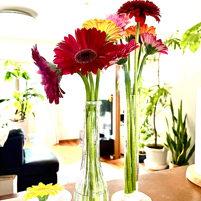 1546さんの実例写真