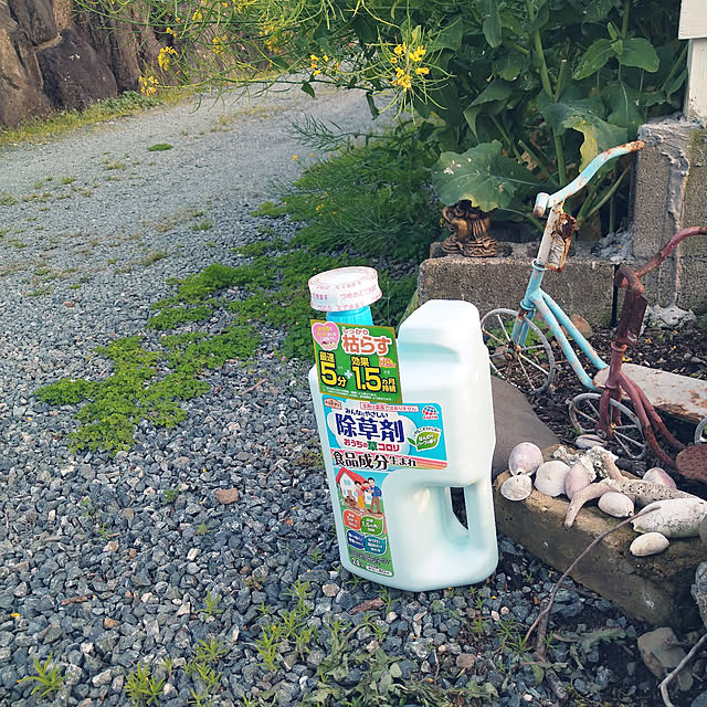 boston5757さんの実例写真