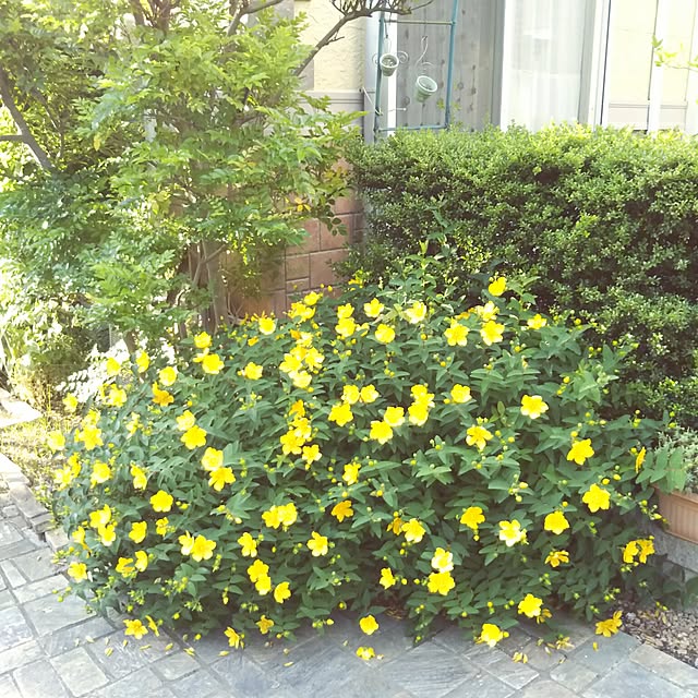 LEAFさんの実例写真