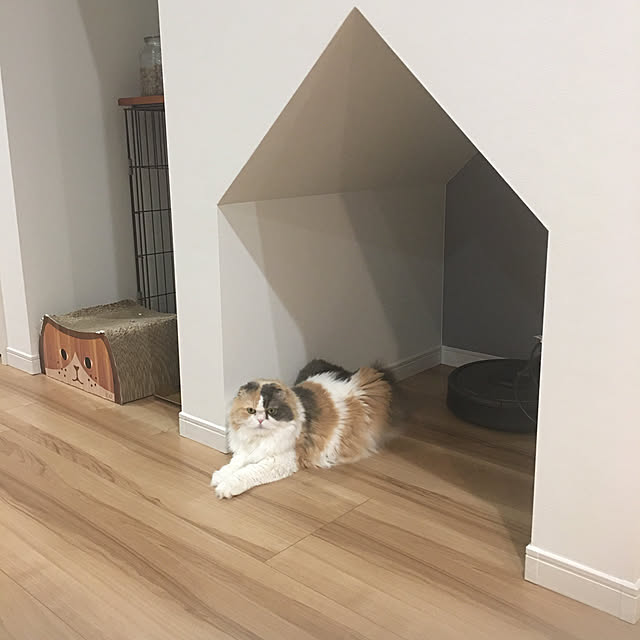 Kaorinさんの実例写真