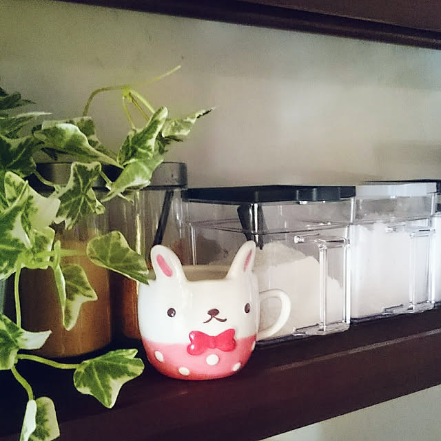 Yuki_sharaさんの実例写真