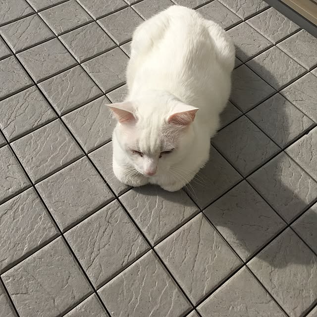 riechanさんの実例写真