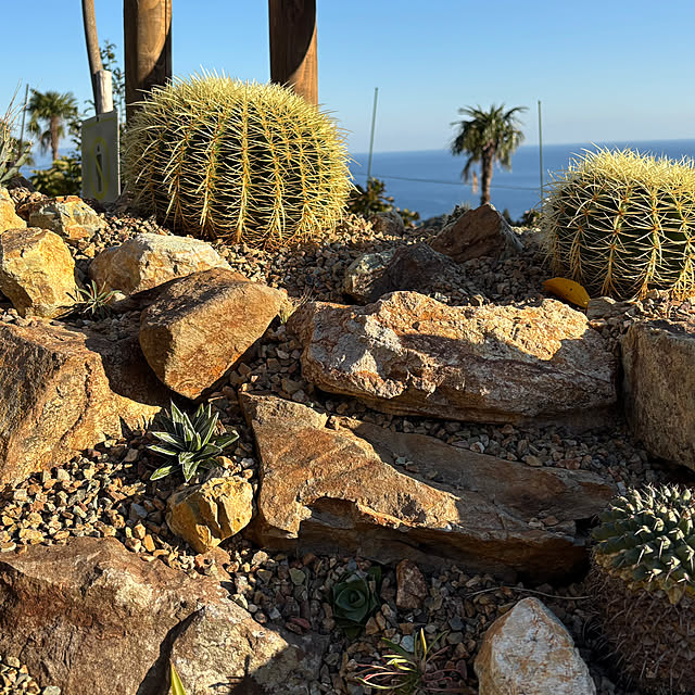 bonber0212さんの部屋