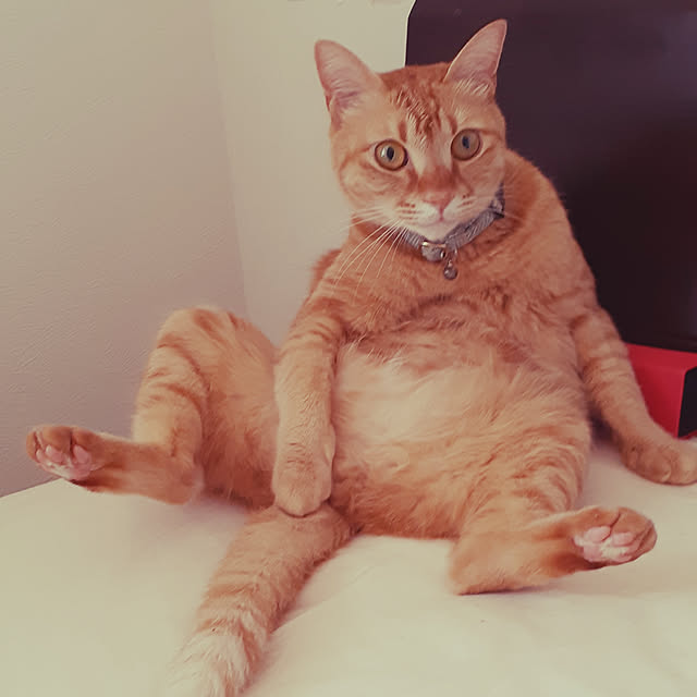 amtさんの実例写真