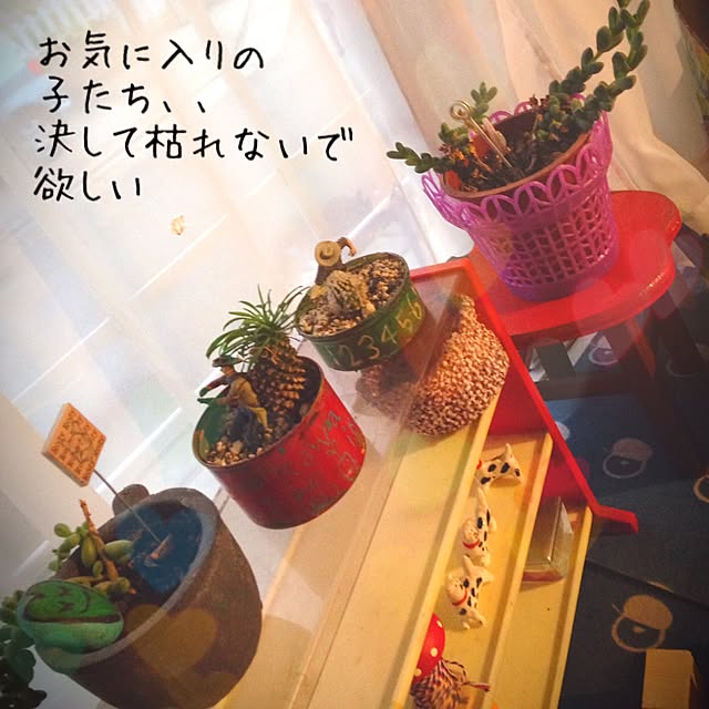 38coreさんの実例写真