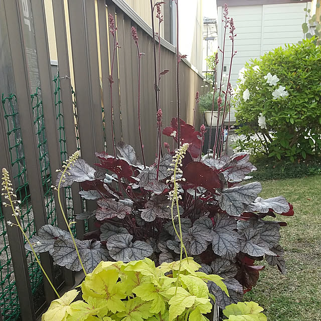Renさんの実例写真