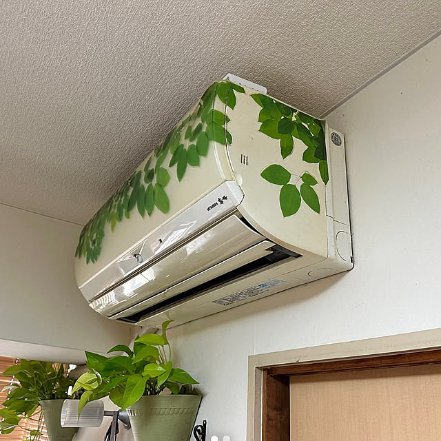 mizucchiさんの部屋