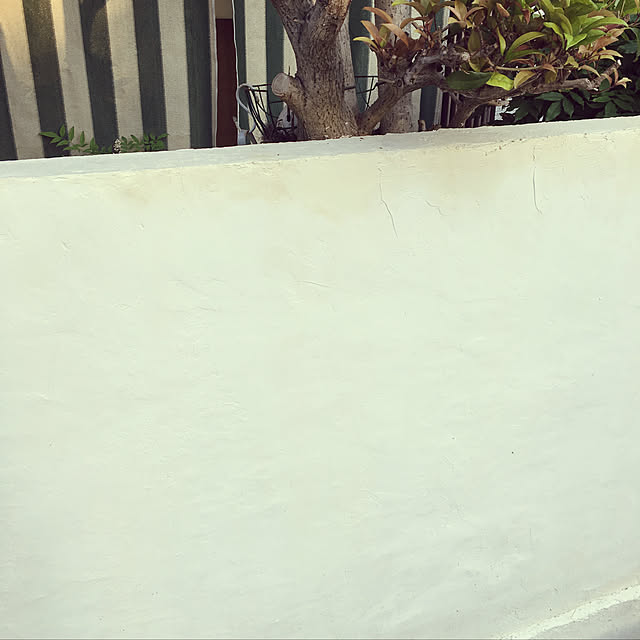 frostyさんの実例写真