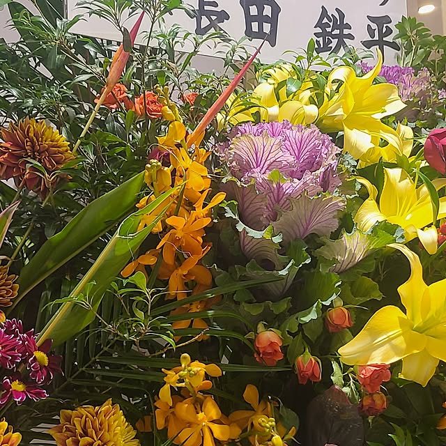 monnさんの部屋