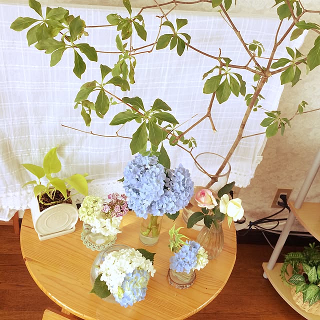 kojituさんの実例写真