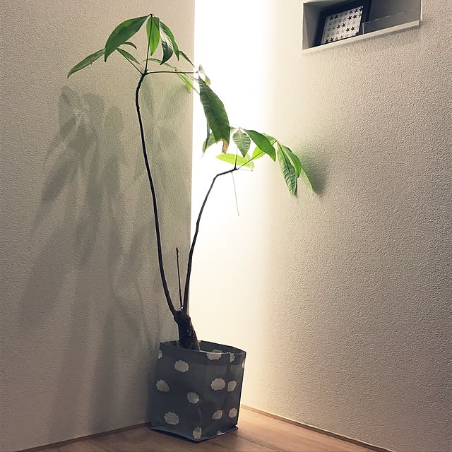 nanaさんの実例写真