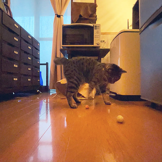Mさんの実例写真