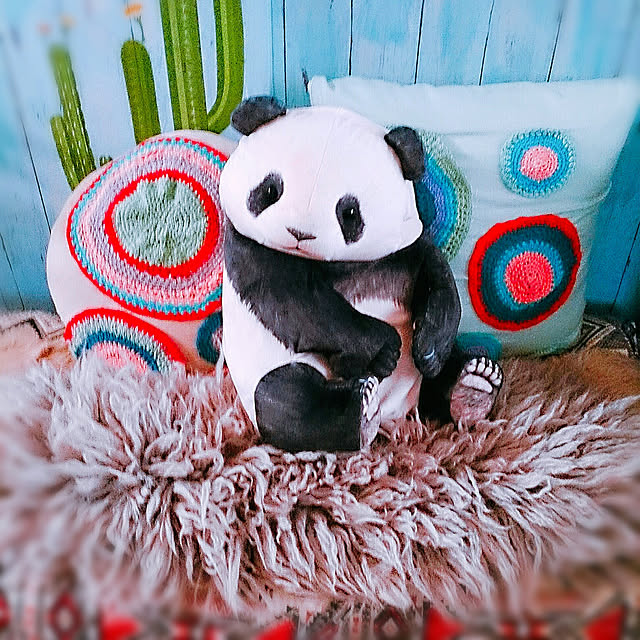 kyooonさんの実例写真