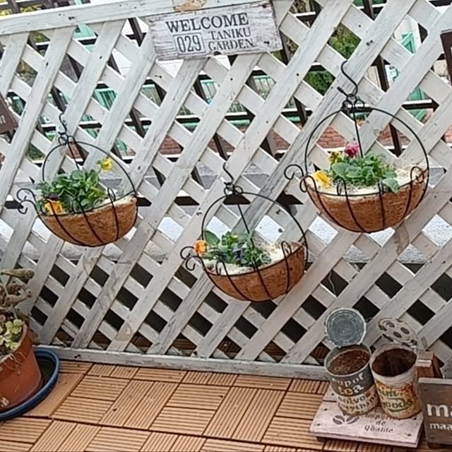 maaamiさんの実例写真