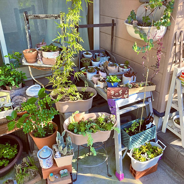 takakoさんの部屋
