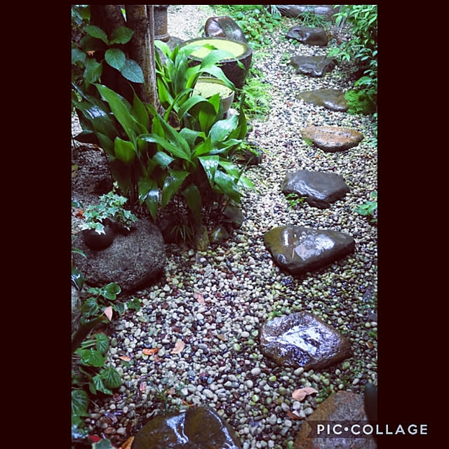 aromameさんの実例写真