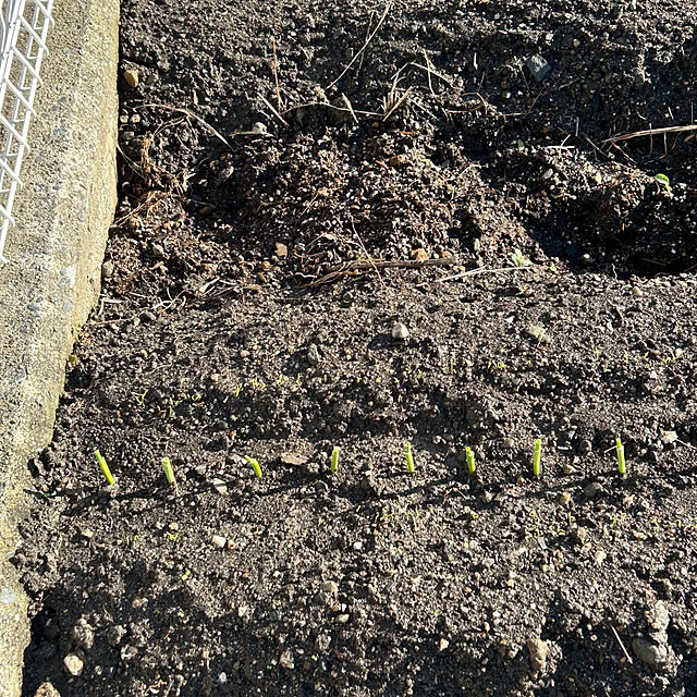 ritsukoさんの部屋