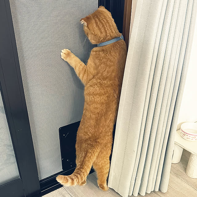 mieさんの部屋
