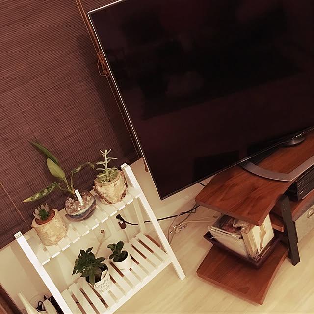 Kanaeさんの実例写真