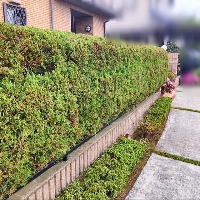mtmtさんの実例写真