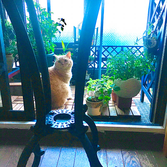 naokoさんの実例写真
