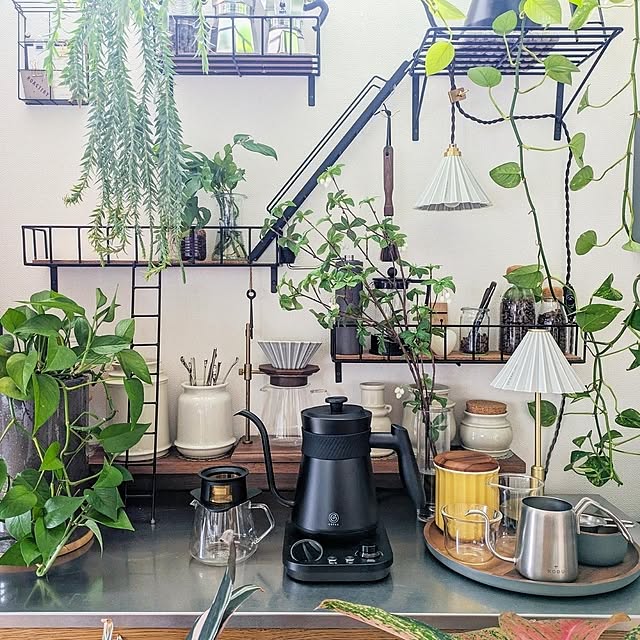 ayamameさんの部屋