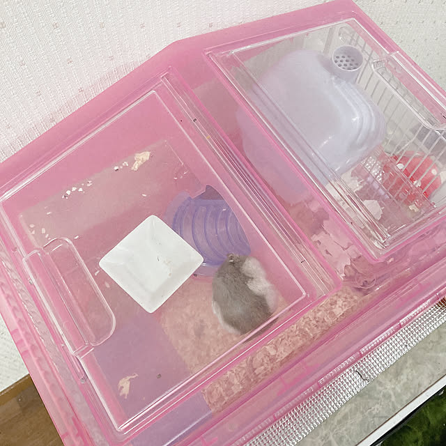 milkさんの実例写真